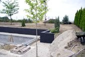 Egy 'ny�rhatatlan' r�zs�, ahol ter�l� n�v�nyeket szerett�nk volna l�tni...