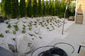 ... Be�ltetett, csepegtet� �nt�z�ssel ell�tott r�zs�